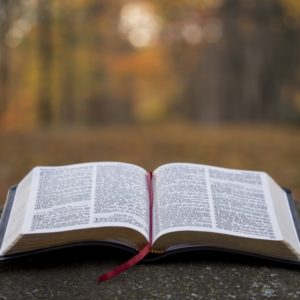 “B.I.B.L.E. (Basic Instructions Before Leaving Earth” Prophetess Sybil McGill (Audio)