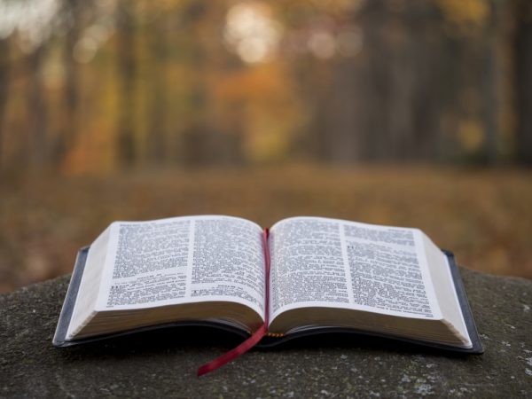 “B.I.B.L.E. (Basic Instructions Before Leaving Earth” Prophetess Sybil McGill (Audio)